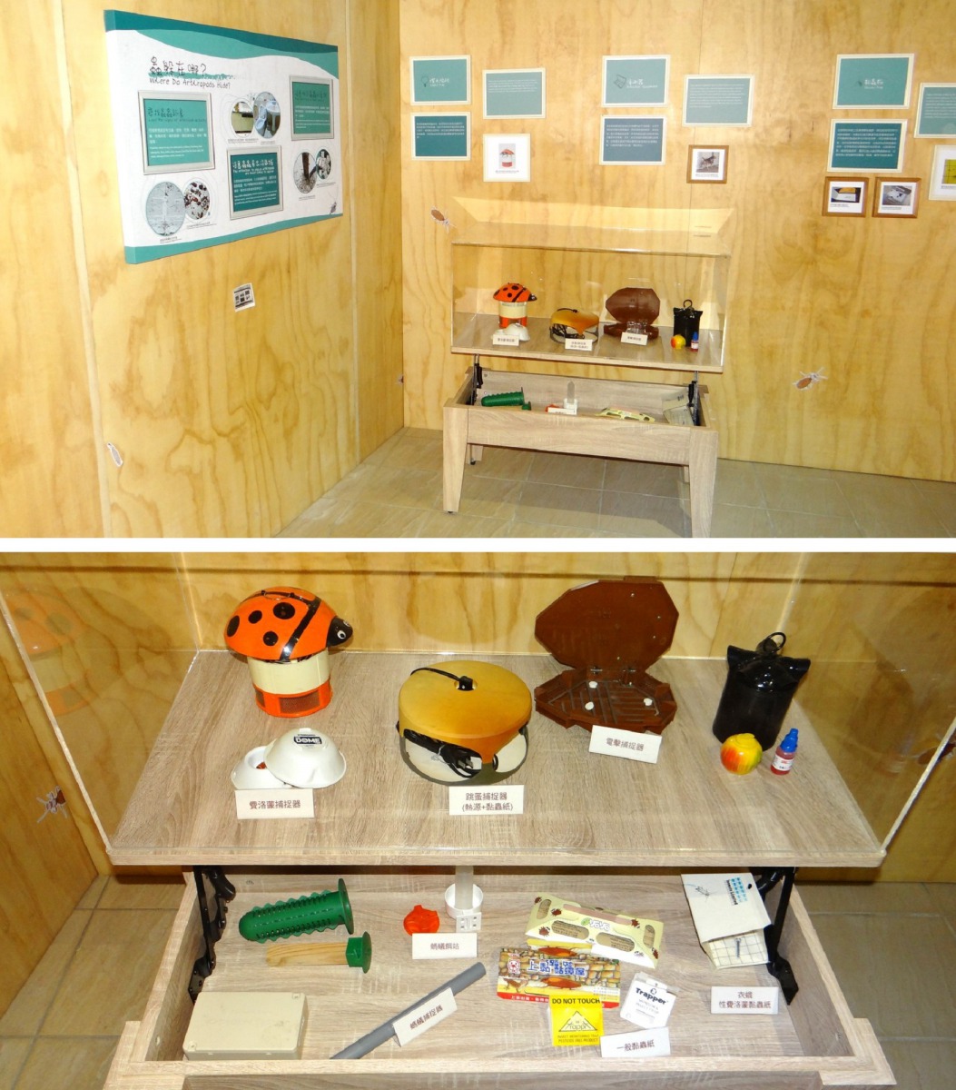 「我家蟲住民」特展從國立自然科學博物館移到臺北動物園，展期至109年底。台北市立動物園/提供