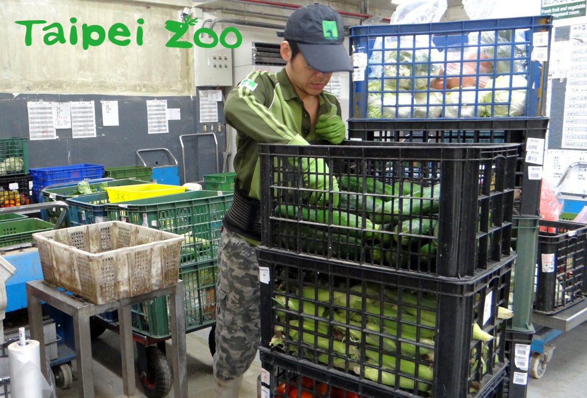 葉菜類使用蔬果籃盛裝。台北市立動物園/提供