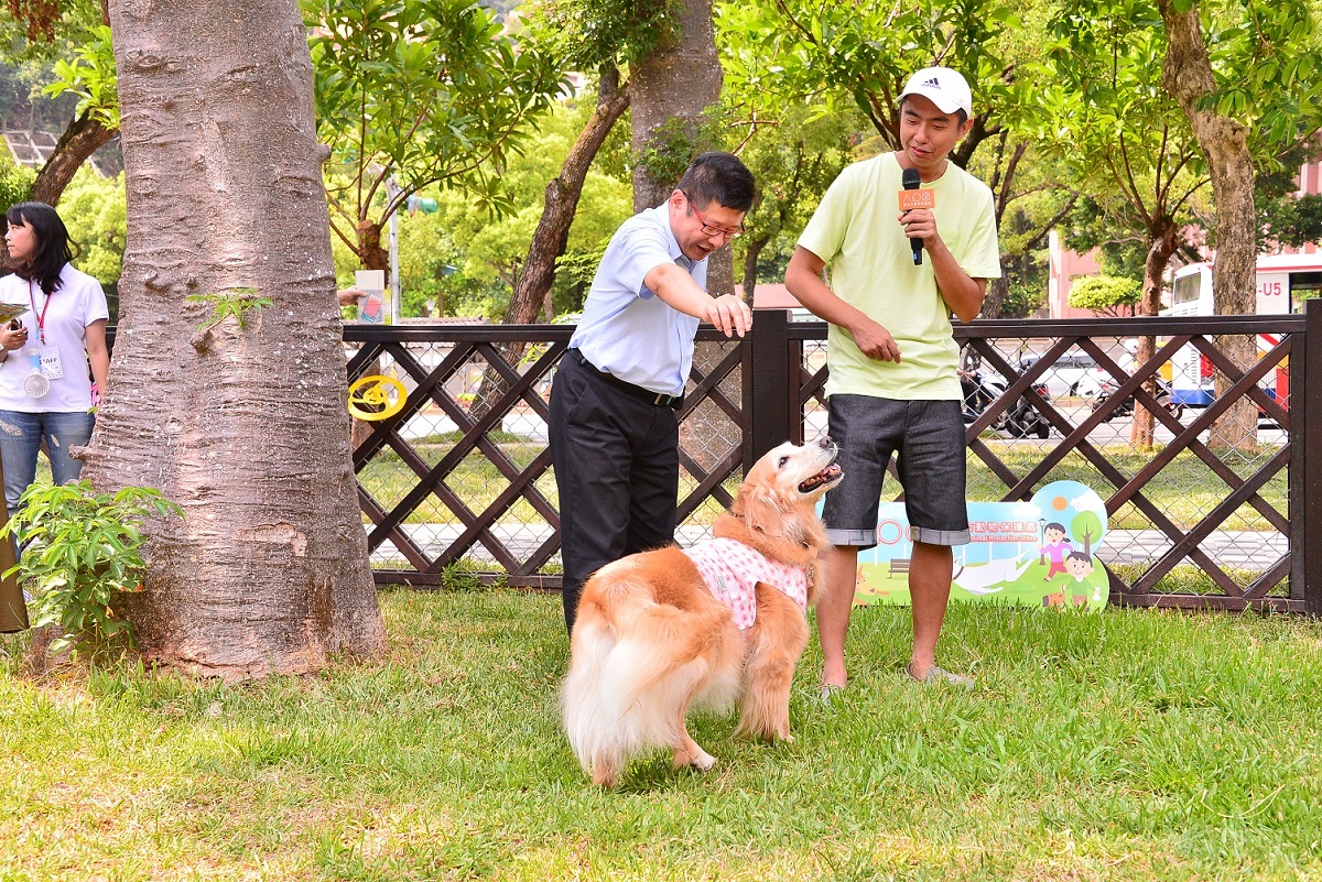 熊爸指導林局長與狗狗KiKi友善互動。台北市動保處/提供