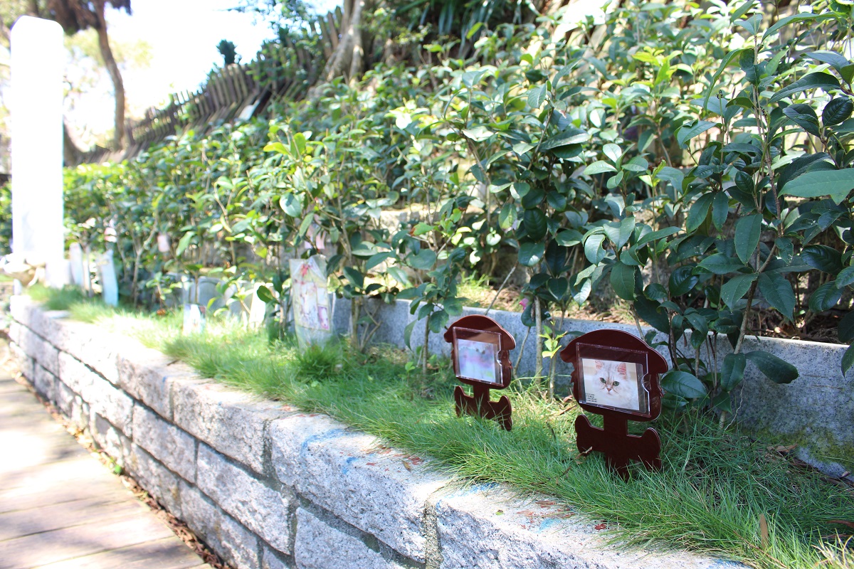 「臺中市寵物屍體處理及寵物生命紀念業管理自治條例」將讓飼主將寵物屍體交付業者處理時,多一層的保障。台灣動物新聞網資料照,何宜/攝