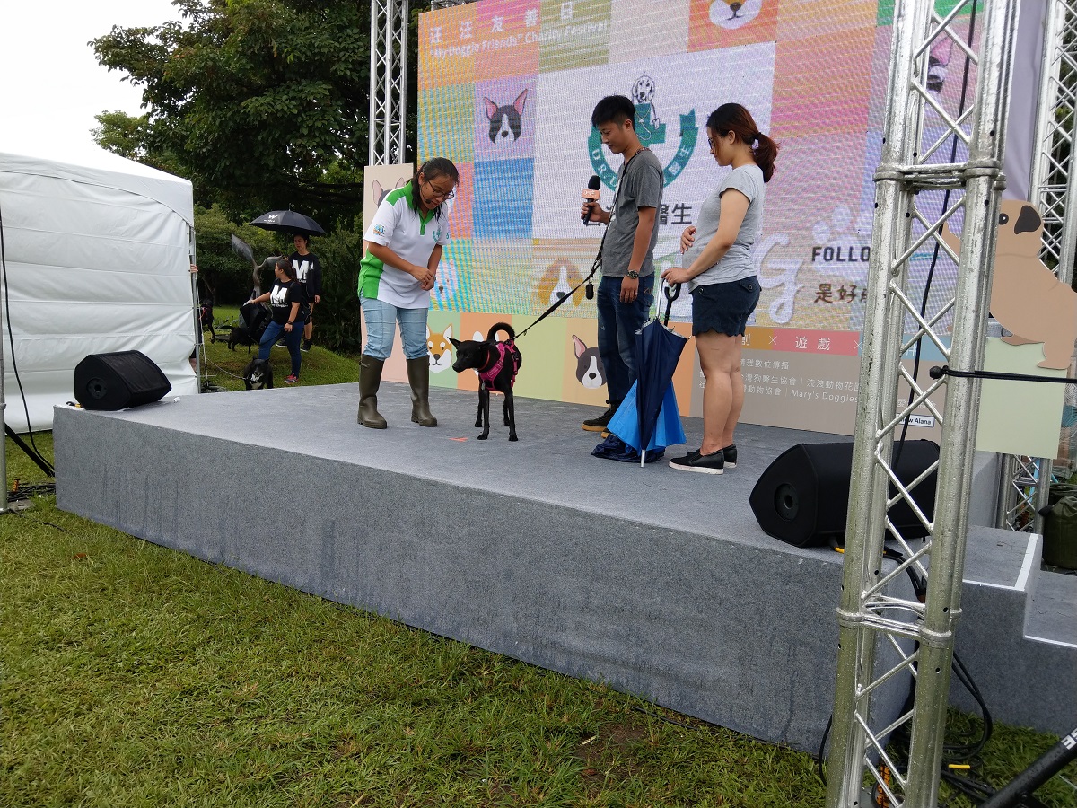 晴天媽也當場邀請民眾帶著愛犬上台，示範如何不打不罵地訓練狗狗。陳璽安/攝