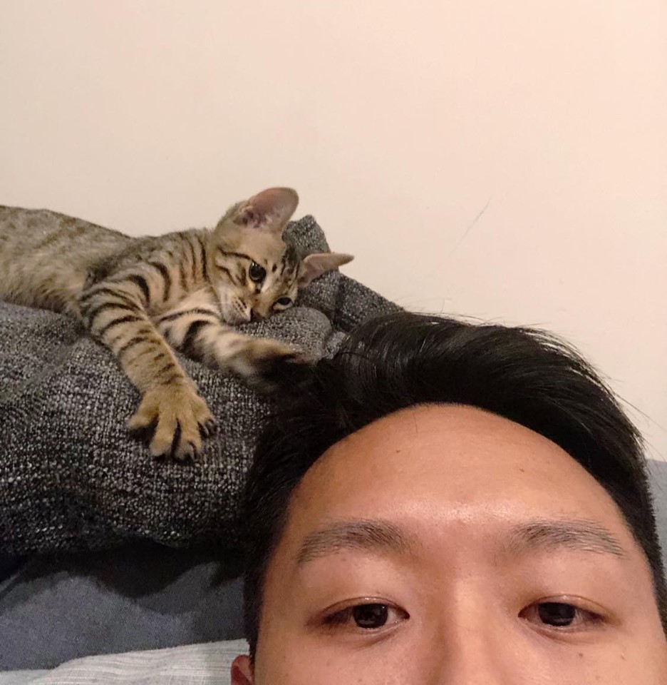 目前李先生已經決定收編這隻小貓,沒有養貓經驗的他正努力學習養貓知識。李先生/提供