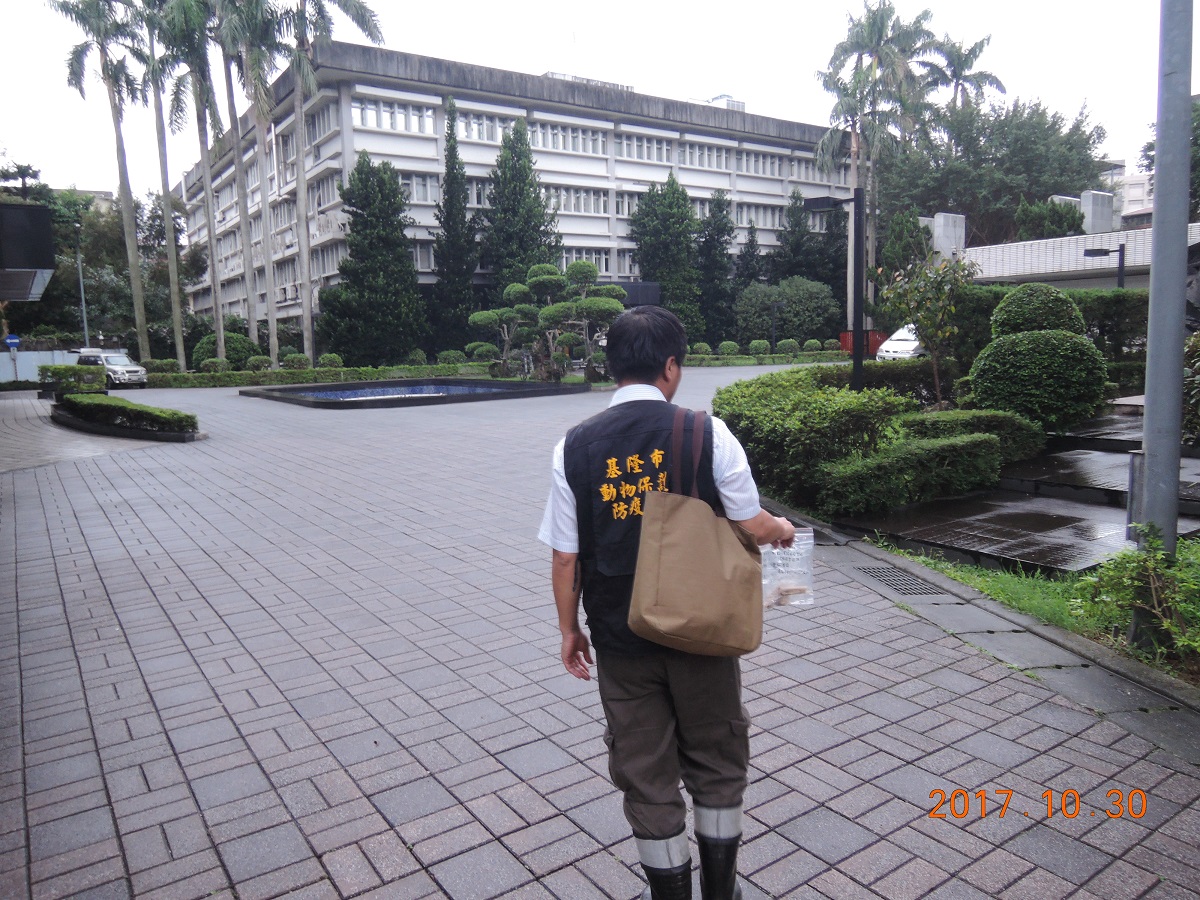 目前基隆動保所已將骨頭送去鑑定。基隆動保所/提供（註、動保所表示相機故障，未能顯示正確拍照日期，此照片拍攝日期應是2017.12.1）