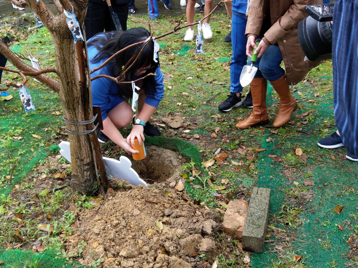 大小姐的骨灰罐採用可分解材質,大小姐將長眠在此並永遠守護中和高中的師生。陳璽安/攝