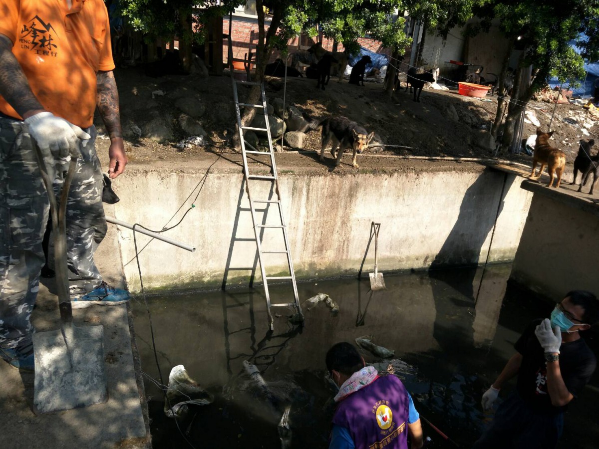 狗場周邊的水池沒有圍欄，導致部分犬隻掉入，圖為志工正抽乾、清潔水池。林品家/提供