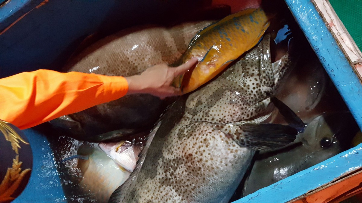 查獲漁獲約100公斤。恆春海巡隊/提供