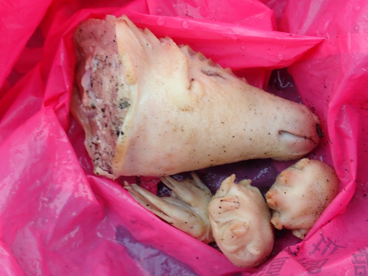 切口平整，推測為人為殺害。李璟泓/提供