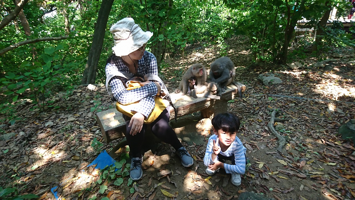 民眾也在生態導覽的過程中，學習如何與獼猴應對，近距離觀察獼猴。台灣獼猴共存推廣協會/提供
