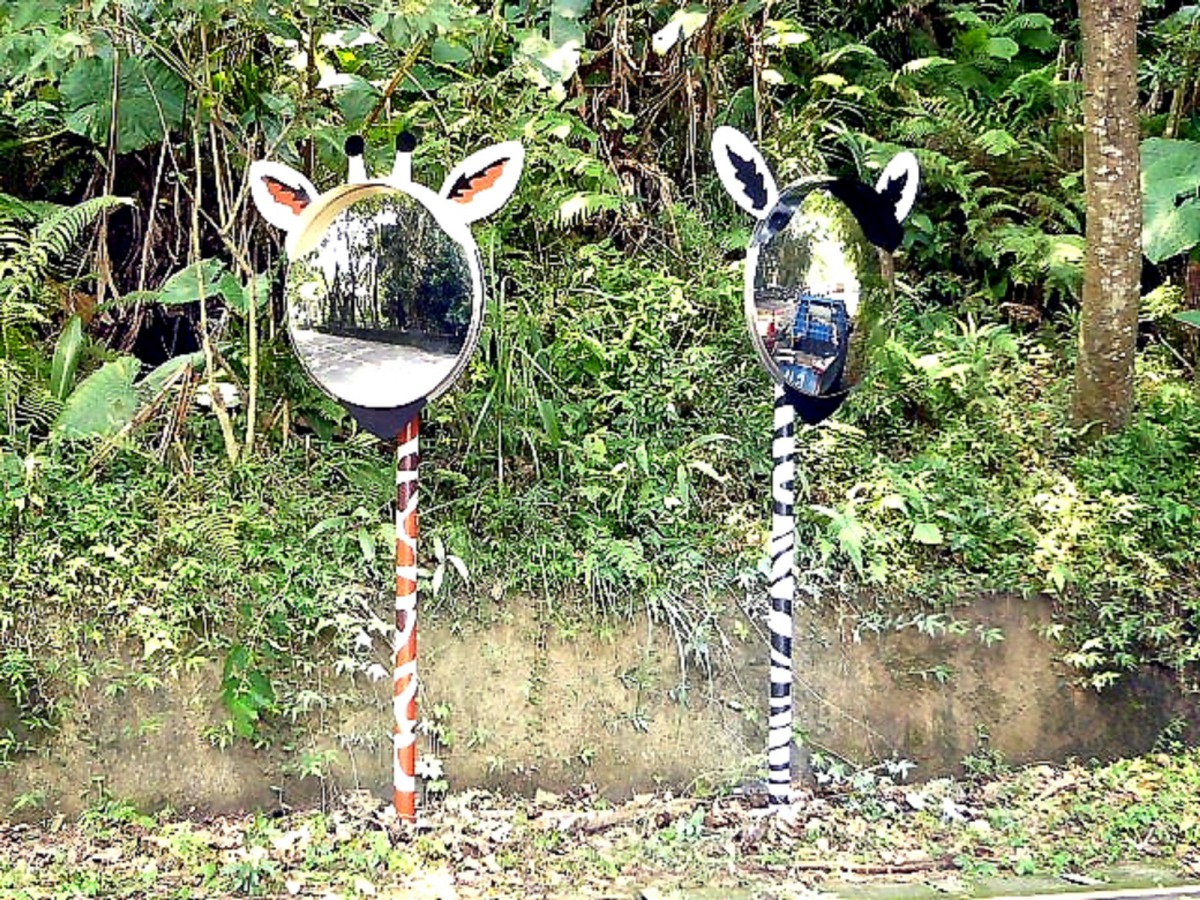 到了叉路處，稍加留意便能發現動物園內獨有、造型可愛的「道路反射鏡」。台北市立動物園/提供