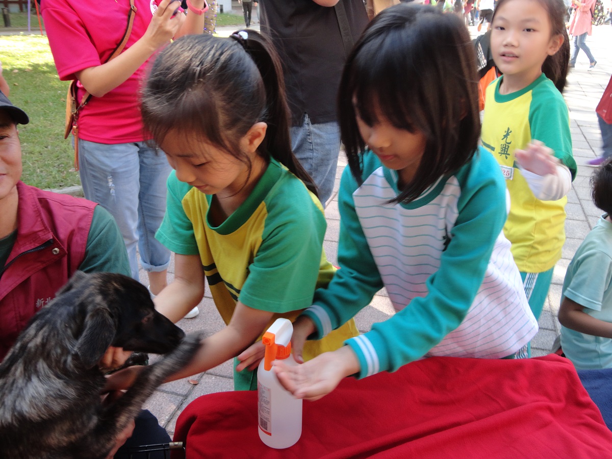 經動保員宣導後學生們主動排隊消毒雙手。新北市動保處/提供