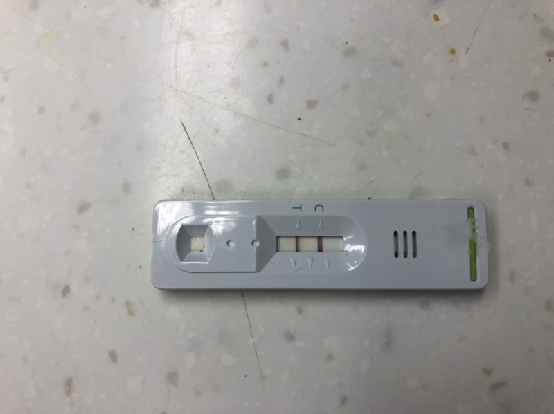 貓愛滋病可以透過抽血來檢測，圖中為FIIV陽性反應，確診為貓愛滋病。新北市動保處/提供