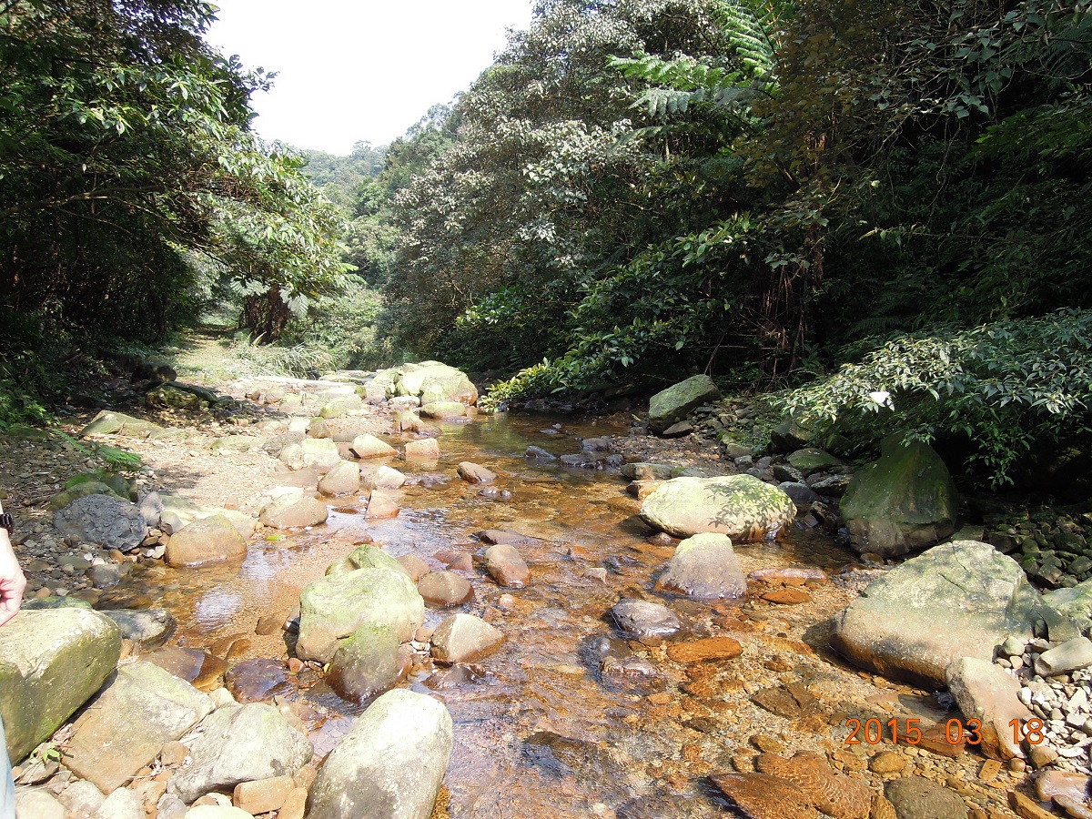 為了保護自然溪流生態，加強原生魚種復育，許多溪河會實施「封溪護魚」措施，圖為暖暖溪上游。基隆市動保所/提供