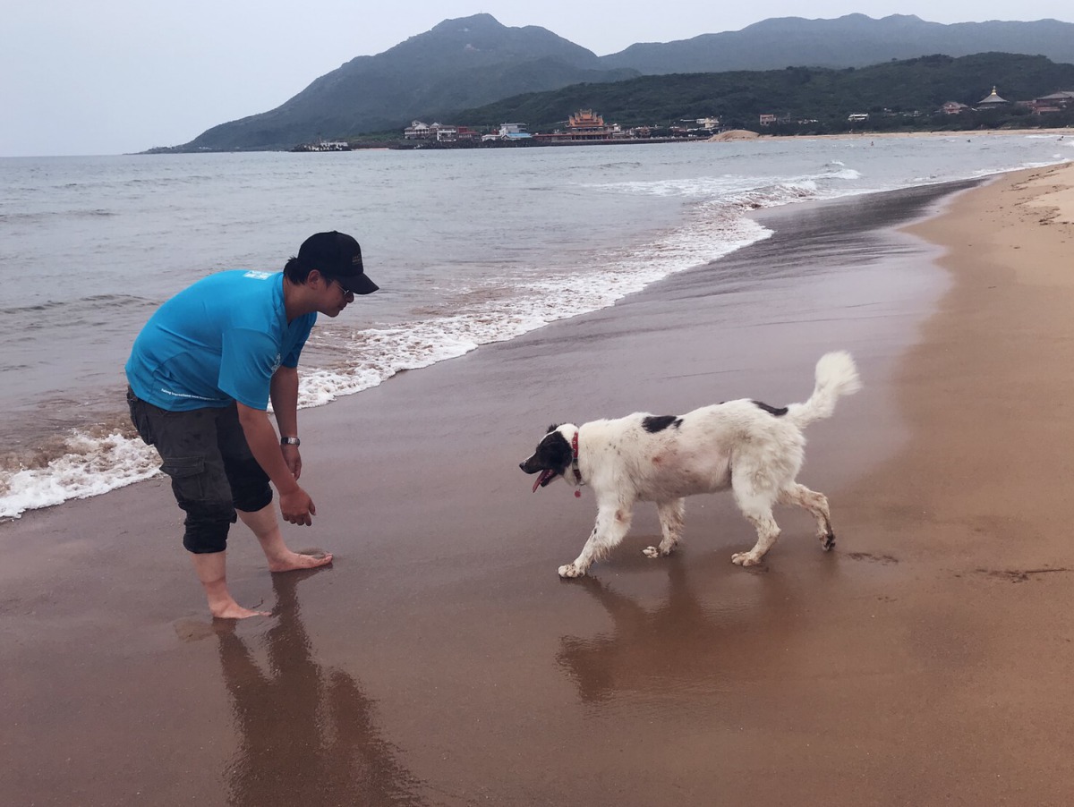 沙沙與新主人在福隆沙雕藝術季海灘玩耍。新北市動保處/提供