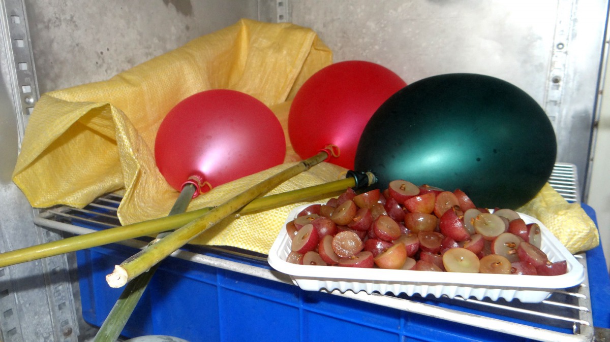 想像一下保育員會用這些素材拼裝出什麼樣子的蛋糕呢?台北市立動物園/提供