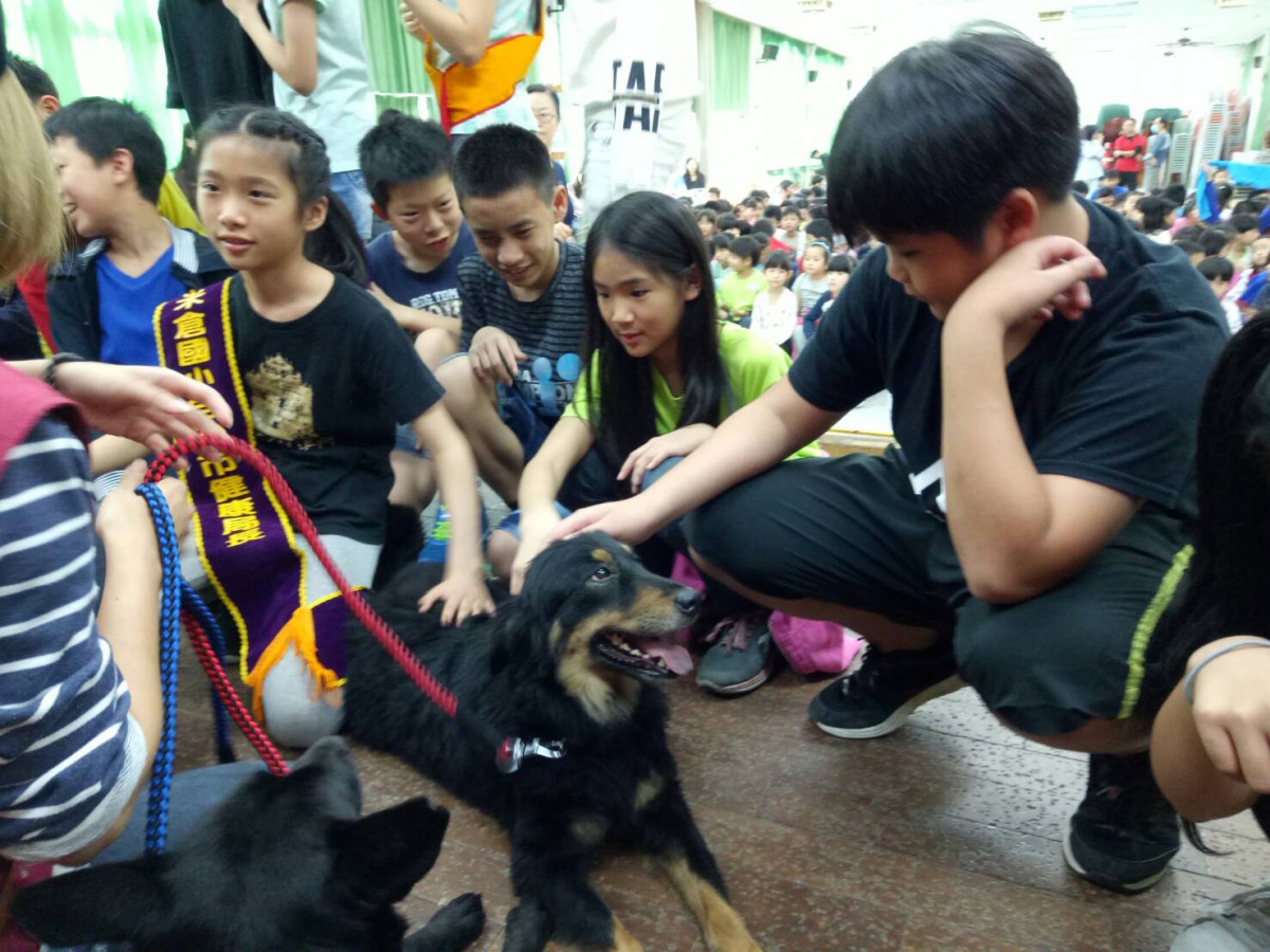 學生與公關犬互動。新北市動保處/提供
