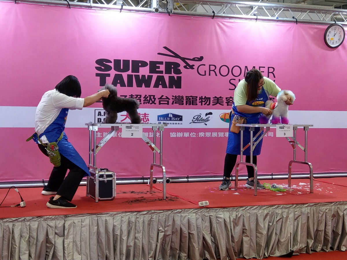 專業的美容師大賽。陳璽安/攝