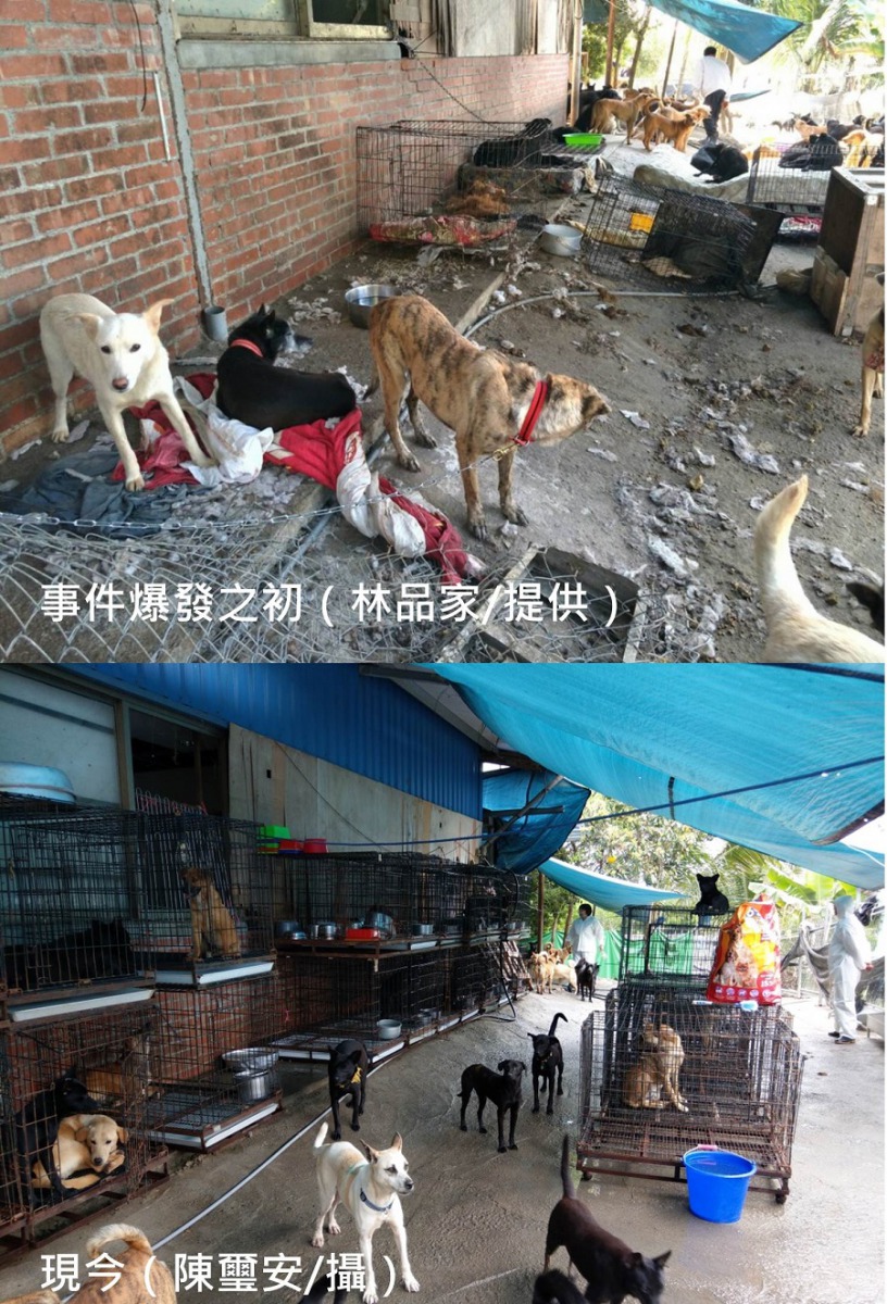 狗場能夠步上正軌，熱心的志工們功不可沒。