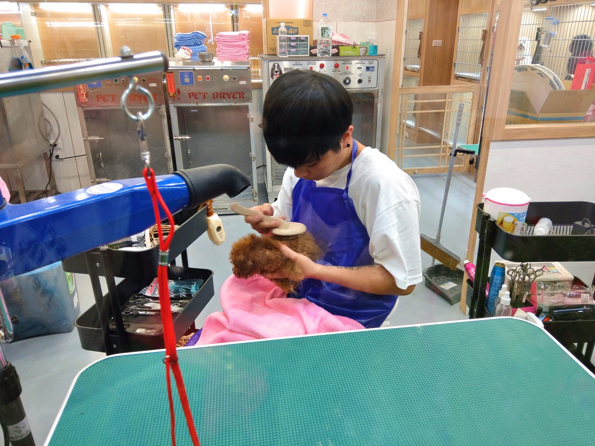 附設寵物美容中心與住宿中心，並貼心地將貓狗空間分離。陳璽安/攝