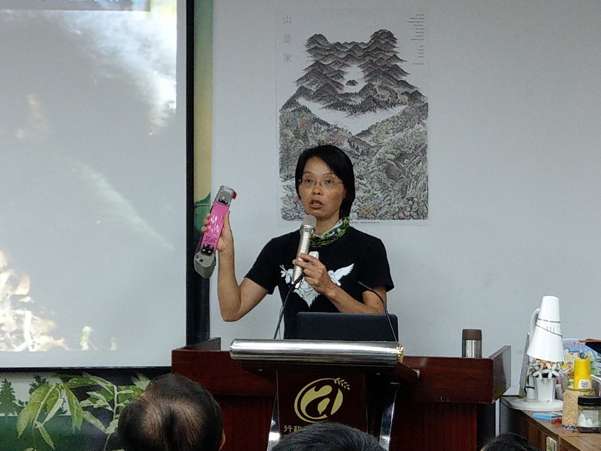 小黑熊已植入晶片、戴上耳標，也會配戴發報器，讓研究團隊可持續追蹤小黑熊的動向。陳璽安/攝