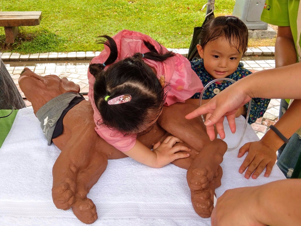 亞洲動物福利協會教導小朋友幫狗狗實施CPR。陳璽安/攝