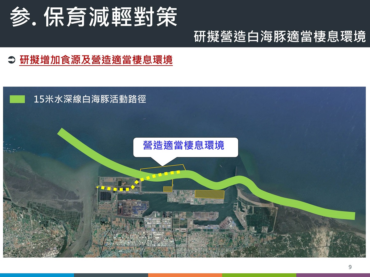 交通部臺灣港務分公司表示將透過增加食源營造白海豚的適當棲息環境。翻攝自交通部臺灣港務股份有限公司簡報