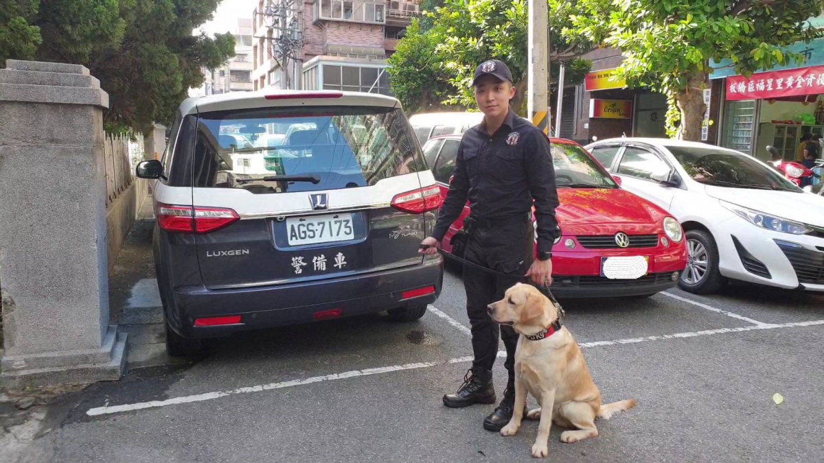 領犬員帶警犬「福星」到新北市動保處健康檢查。新北市動保處/提供