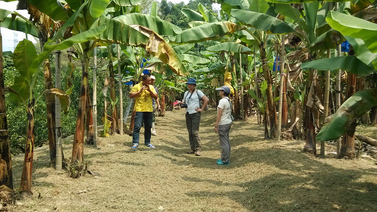 參與「友善石虎」的果農們以有機的方式經營果園，讓果園成為適合野生動物生活的棲地。特有生物研究保育中心/提供