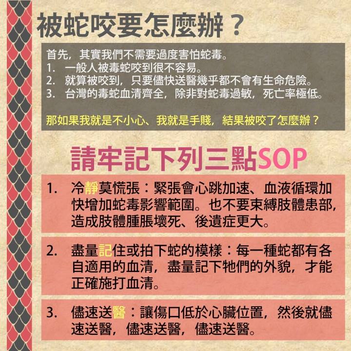 被蛇咬了怎麼辦？野生動物追思會/提供