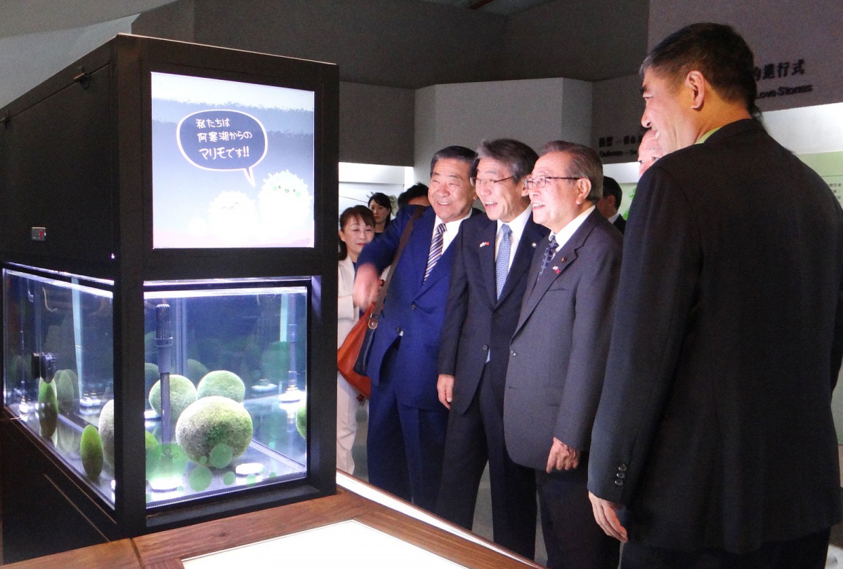 日前台北市立動物園的丹頂鶴新鶴舍開幕，同樣來自日本釧路市的大型毬藻也於兩棲爬蟲館正式亮相。台北市立動物園/提供