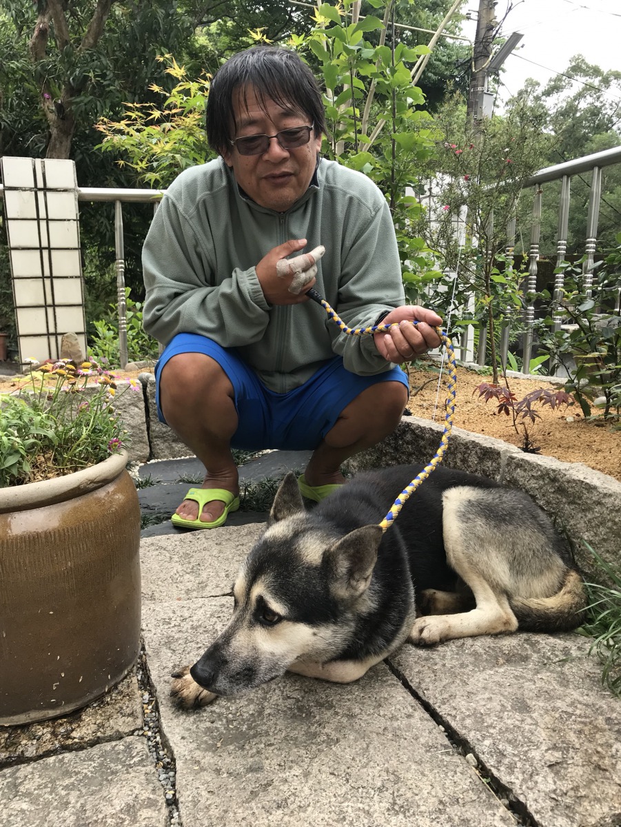 民眾郝先生認為相逢就是有緣，將牠取名為Mango並認養。新北市動保處/提供