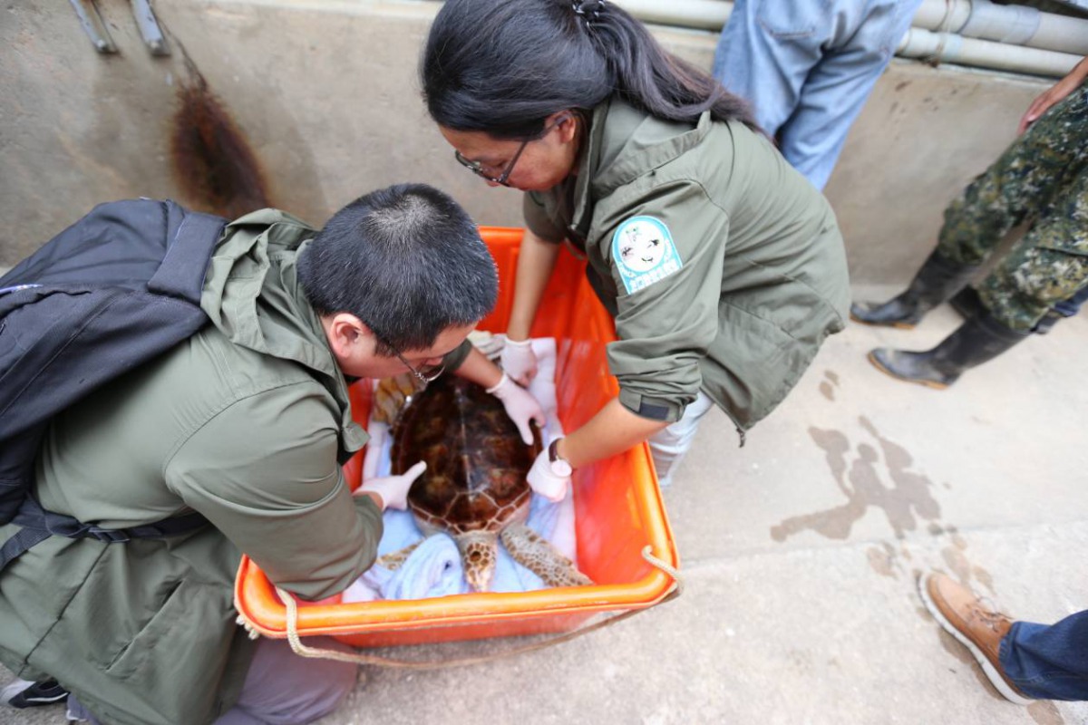 感謝金門縣野生動物救援暨保育協會、林務局、台北市立動物園、國立臺灣海洋大學、國立海洋生物博物館、金門縣水產試驗所等單位以及所有熱心民眾的支持。金門縣建設處/提供
