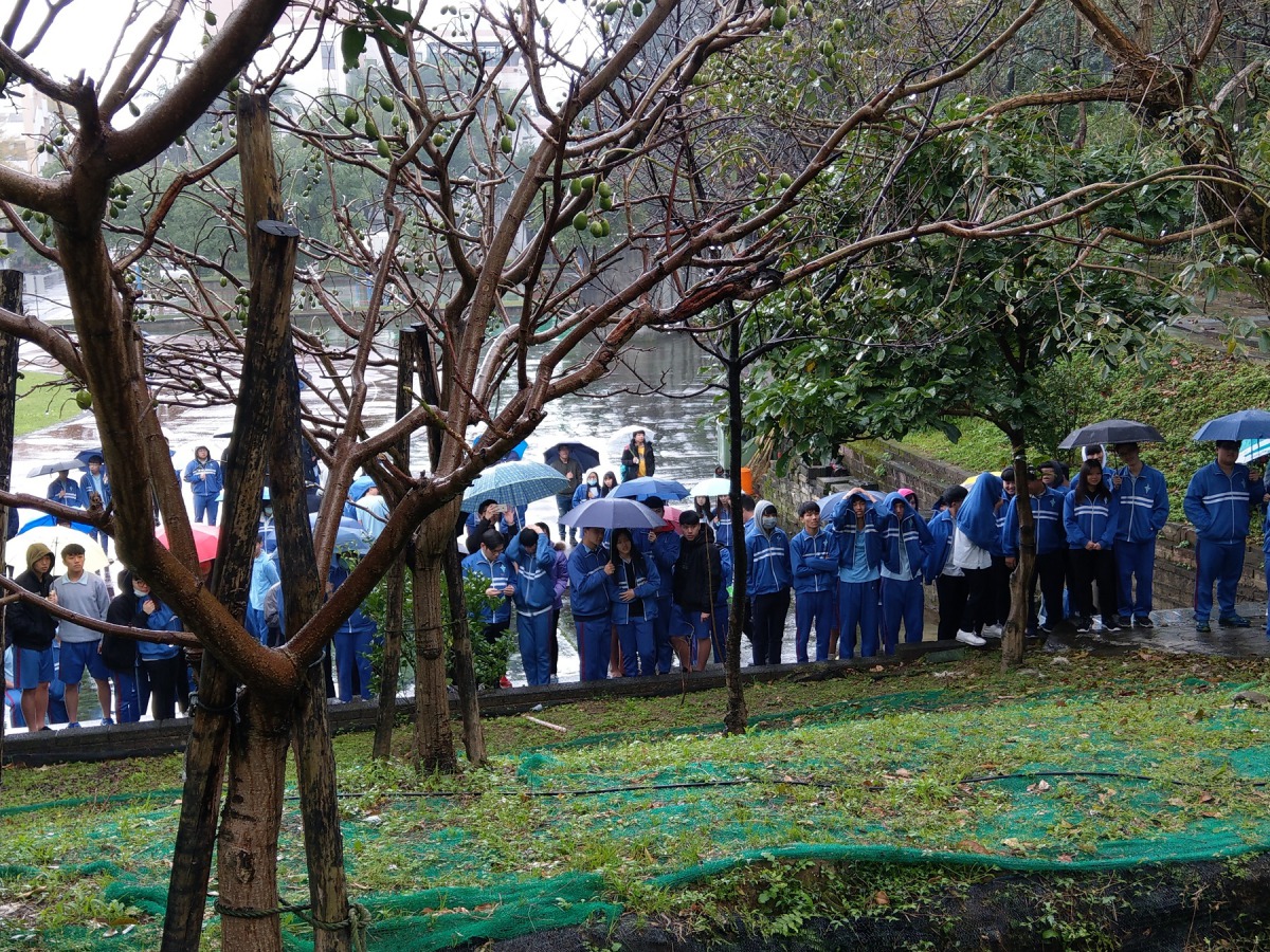 師生與校友齊聚參與大小姐的樹葬儀式。陳璽安/攝