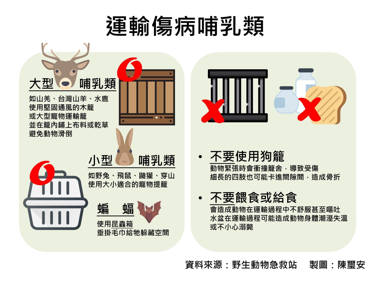 看到幼獸怎麼辦？野生動物急救站/資料來源，陳璽安/製圖