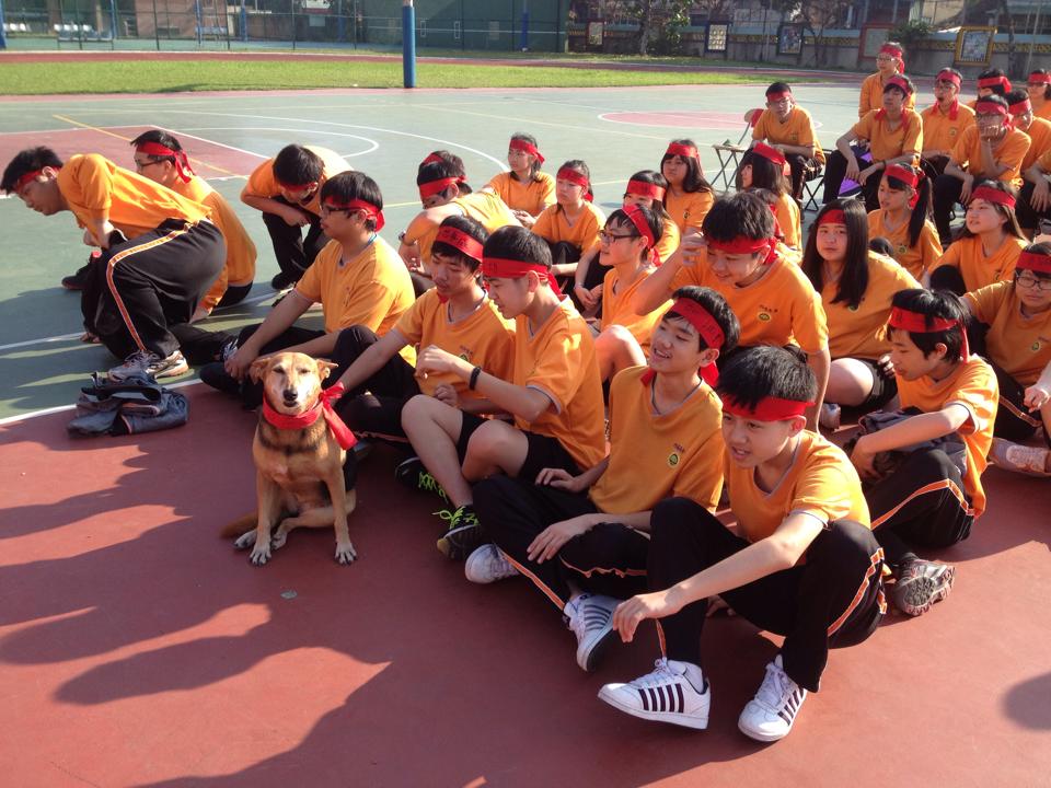 大觀國中Peter與學生一起參加運動會。新北市動保處/提供