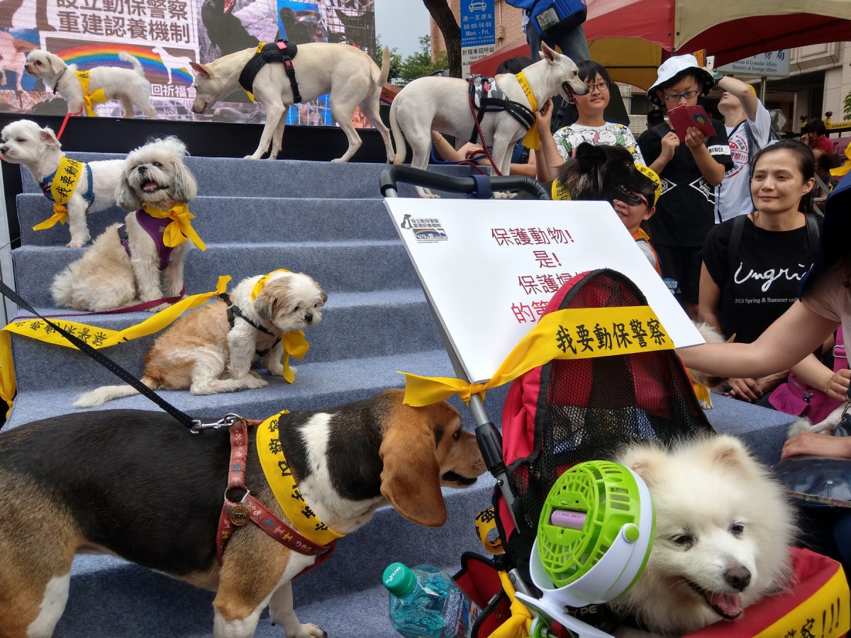 許多民眾帶寵物前來參加。陳璽安/攝