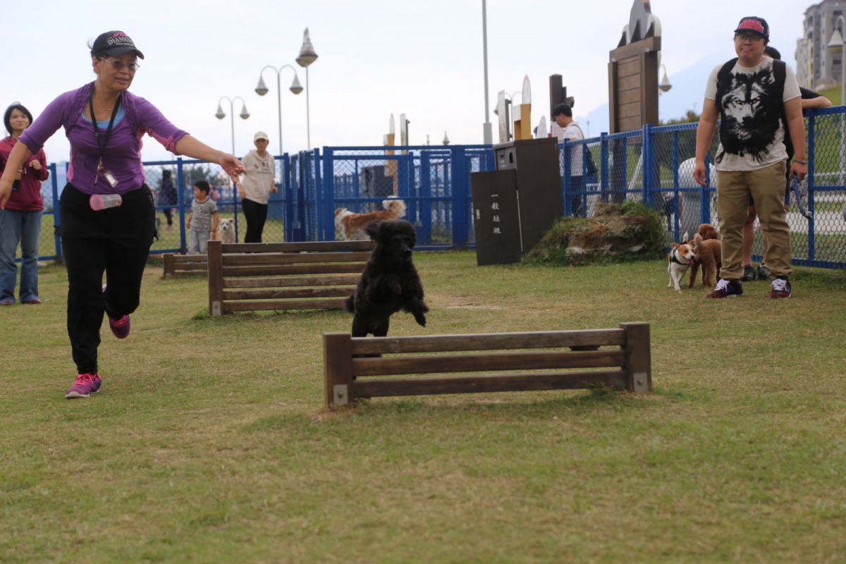 「毛寶貝動次動運動會」將在蘆洲區蘆堤寵物公園舉行。新北市動保處/提供