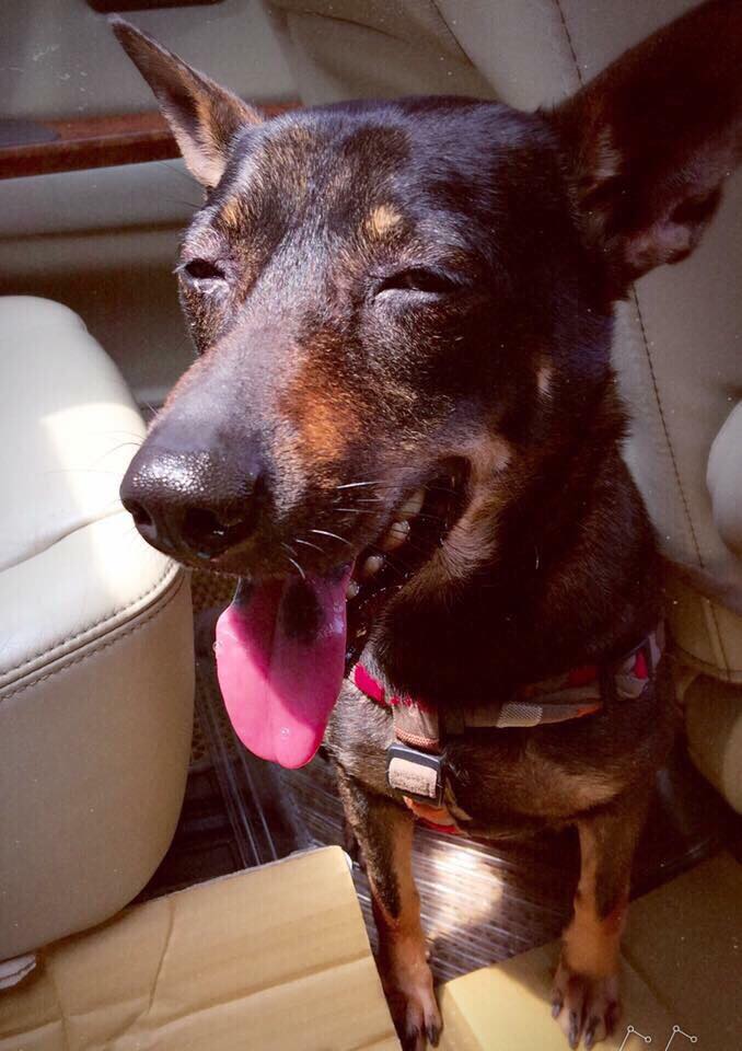 丸子看到第一次展露笑顏的嘿美，趕緊拍下來。丸子/提供