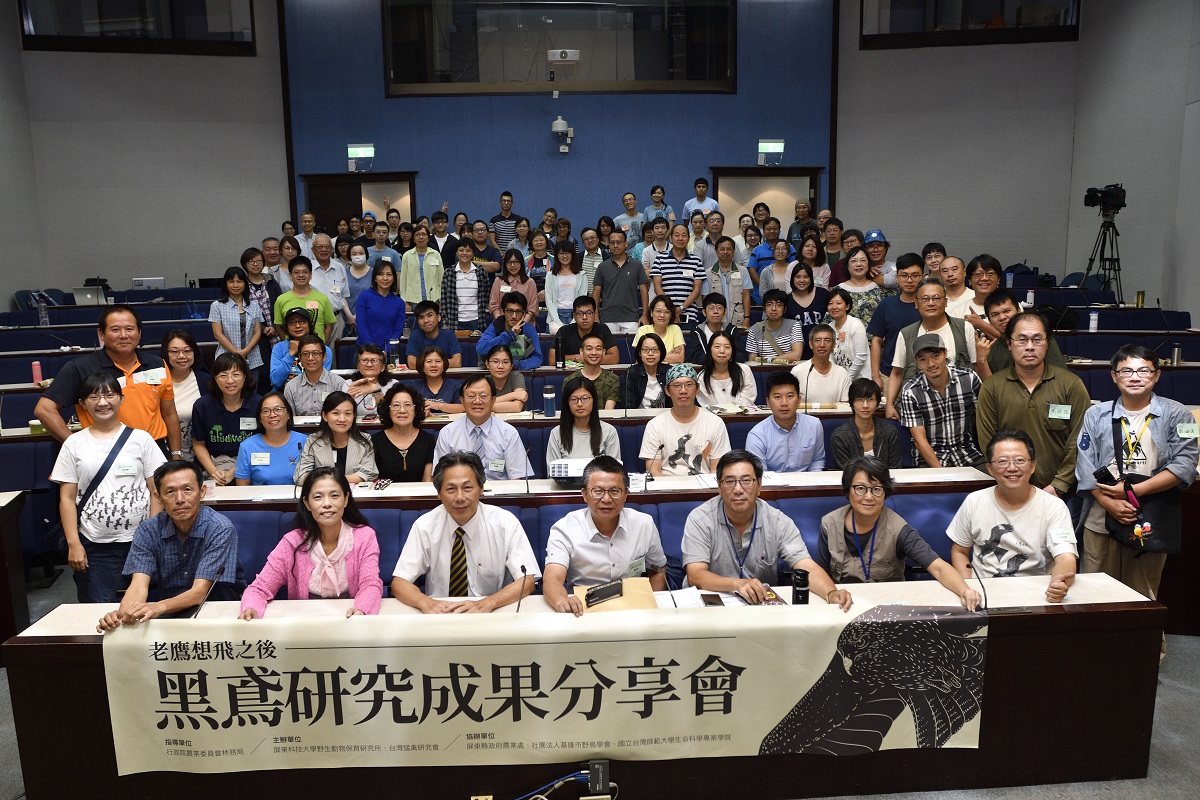 黑鳶研究的研究仍持續進行中，也期待更多人一起加入保護老鷹的行列。台灣猛禽研究會/提供