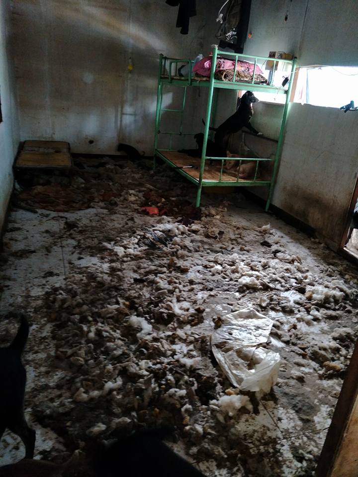 室內也十分髒亂。林品家/提供
