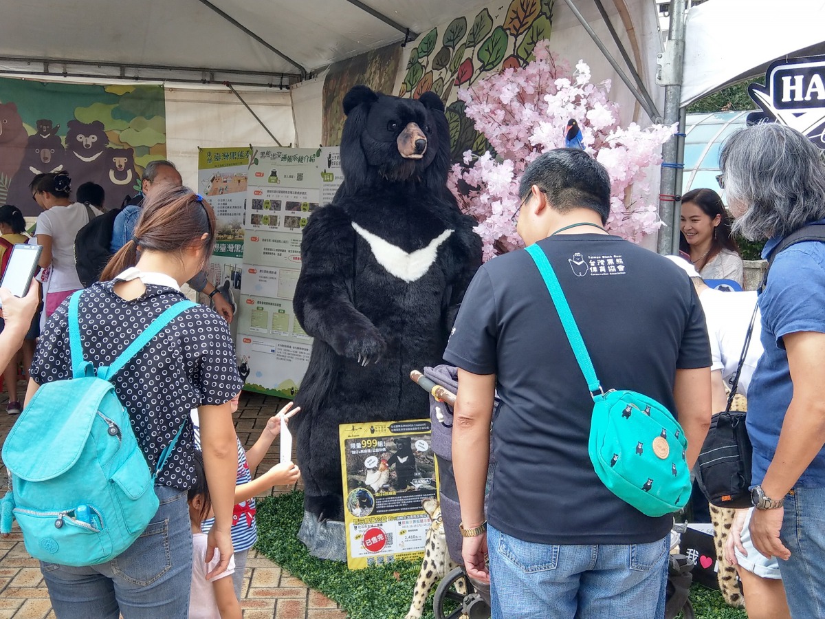 會說話的台灣黑熊吸引大小朋友圍觀與牠對話。陳璽安/攝