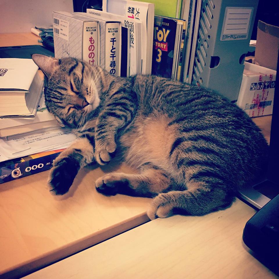 在養貓以前，貓咪的神祕的形象令邱立偉感到好奇，成為「小貓巴克里」的靈感來源。邱立偉提供