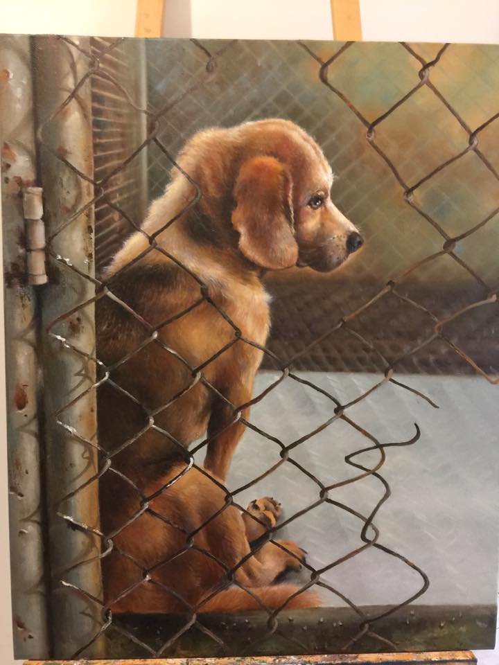 現在丸子只畫老犬、成犬，希望有意收養狗狗的人，能給老犬、成犬一個機會。丸子/提供