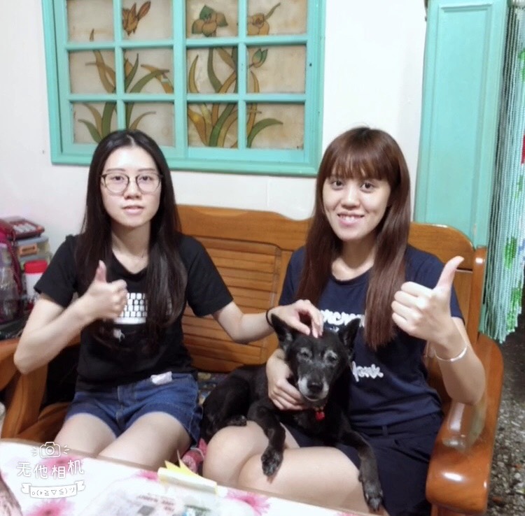 2018年長壽狗寶貝冠軍是20歲的罹癌老犬「石黑黑」。資料照,新北市動保處/提供