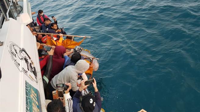 中台灣也有鯨豚救援據點了!資料照,圖為2018年野放小抹香鯨「關關」,基隆市政府/提供