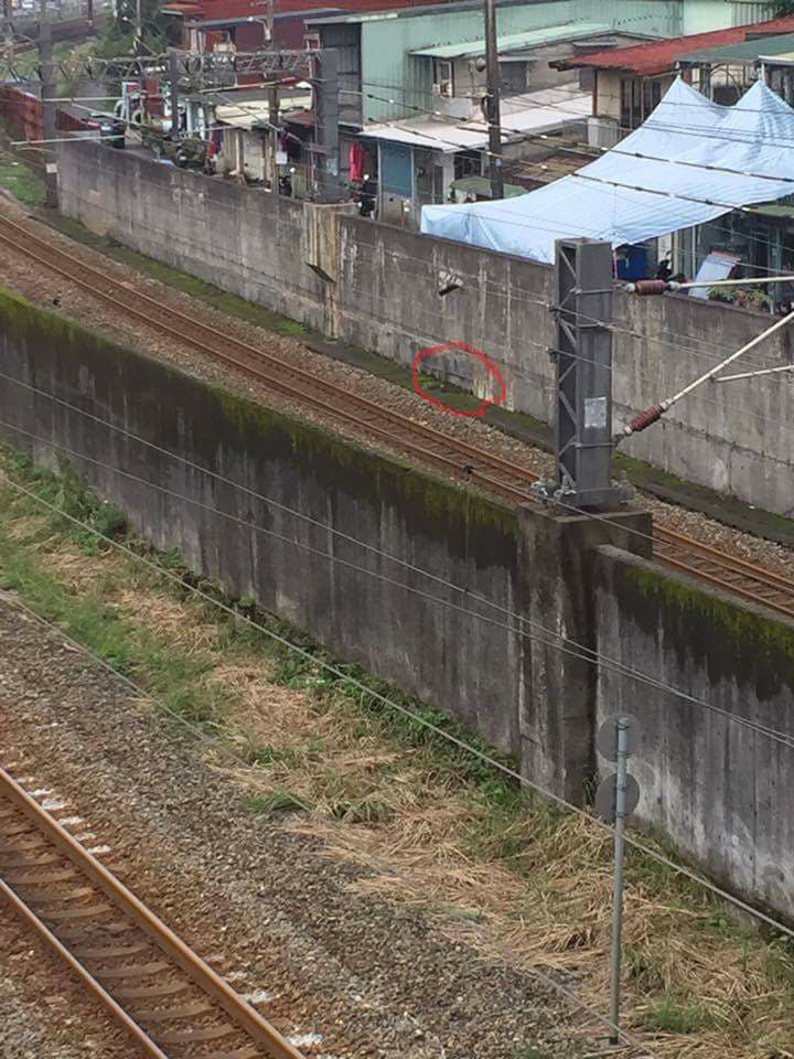 黑狗陳屍地點(紅圈處)並非尋常道路,吳小姐懷疑兇手是熟悉當地地形的人。吳小姐/提供