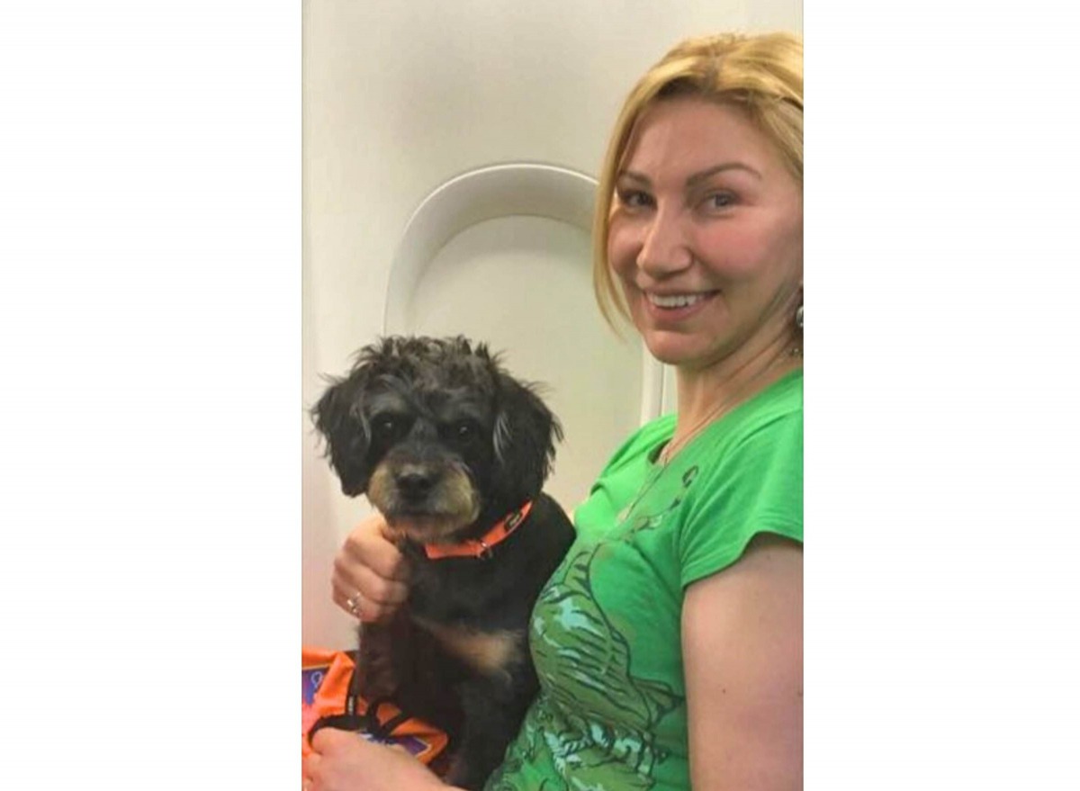 志工陳小姐表示,每個落難孩子缺少的就是機會,如果您伸手拉牠們一把,命運就會大反轉。圖為Bella與飼主。陳小姐/提供