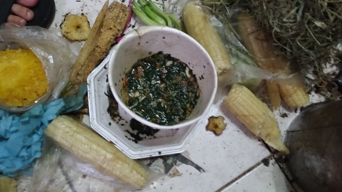 兔子平常食用的是婦人吃剩的廚餘，幾乎沒有飲水。台灣愛兔協會/提供
