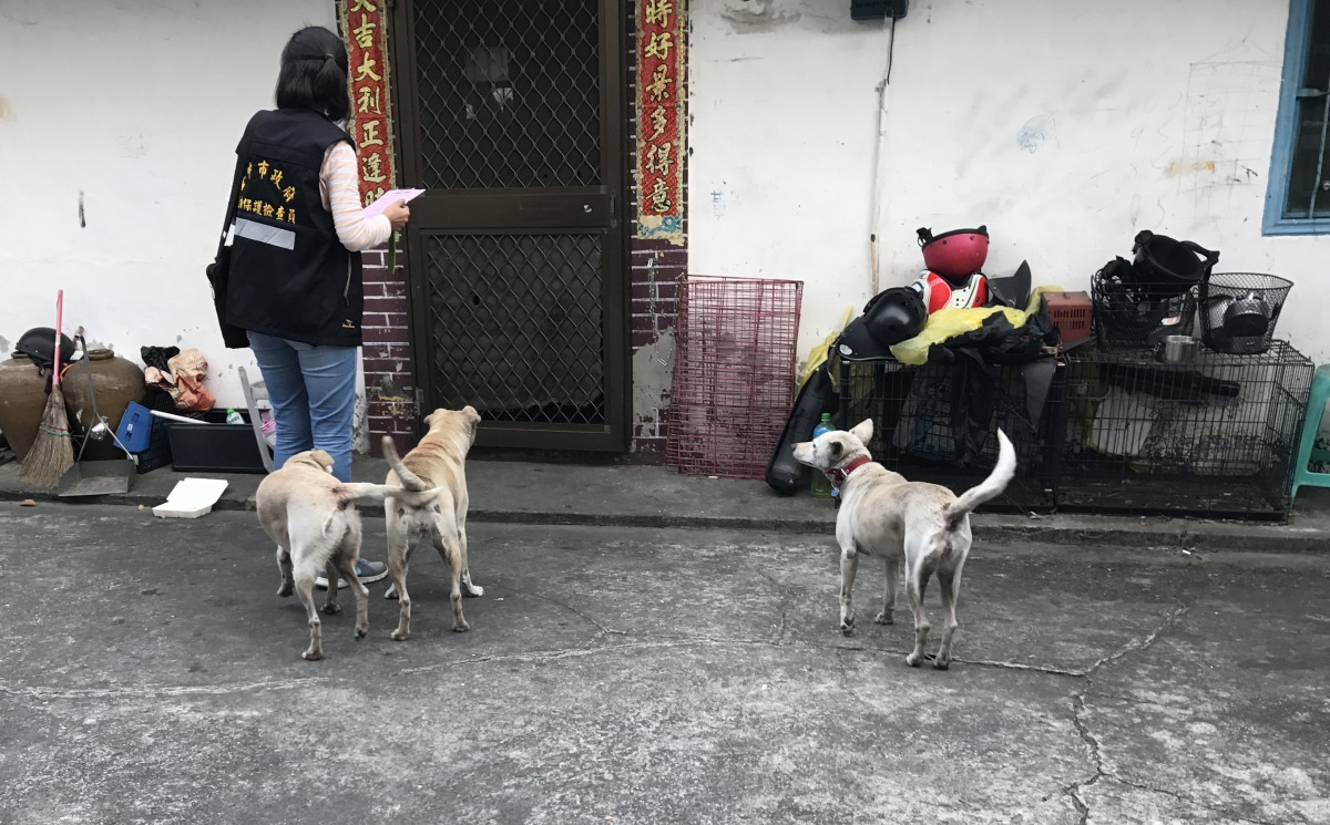 台中市動保處鼓勵民眾檢舉違反〈動保法〉案件，並與民間動保團體合作稽查案件。台中市動保處/提供
