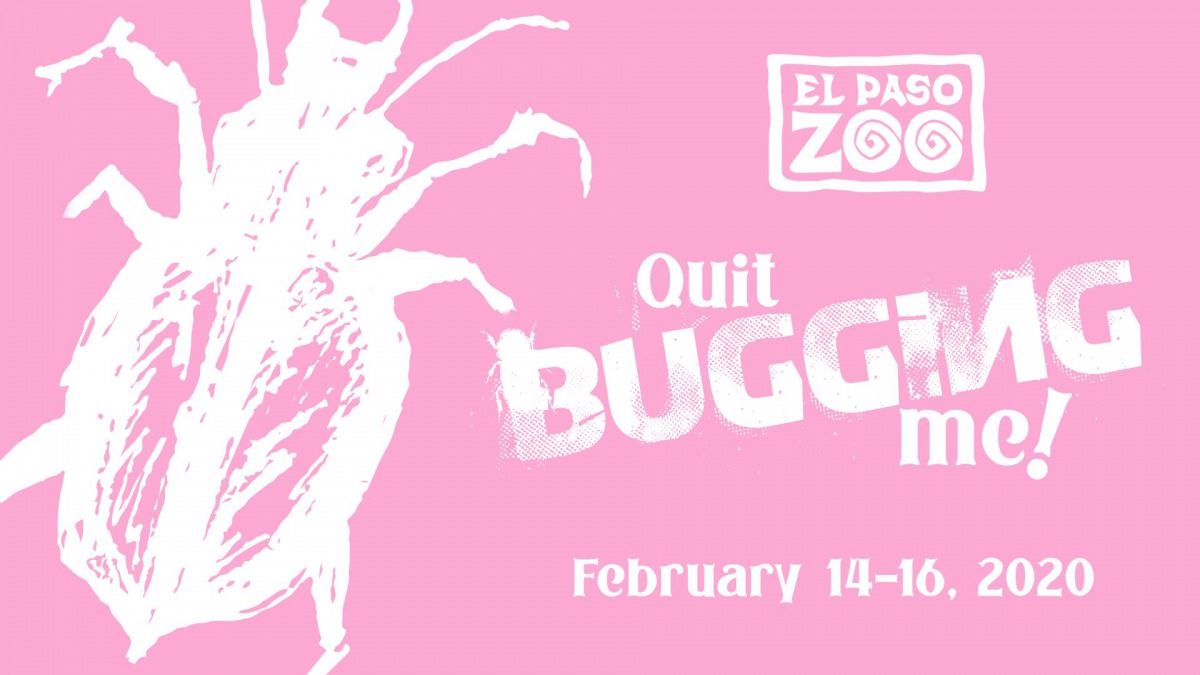 艾爾帕索動物園也舉辦了「別煩我」餵食活動,並有加碼活動。取自艾爾帕索動物園粉絲專頁