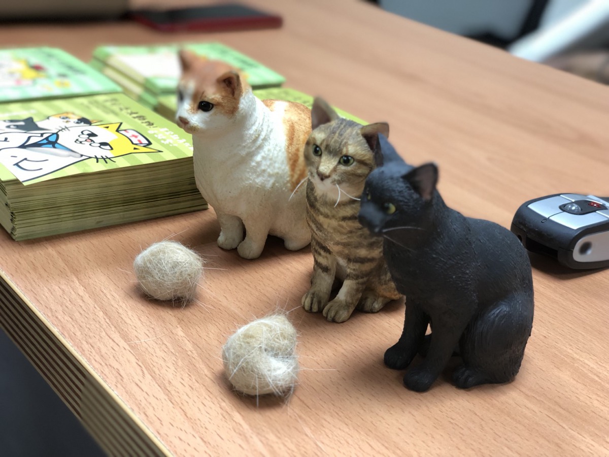 「浪愛有家關懷動物講座」由黃阿瑪的志銘與狸貓打頭陣，讓黃阿瑪與喵星人一起收服現場子民的心。台中市動保處/提供